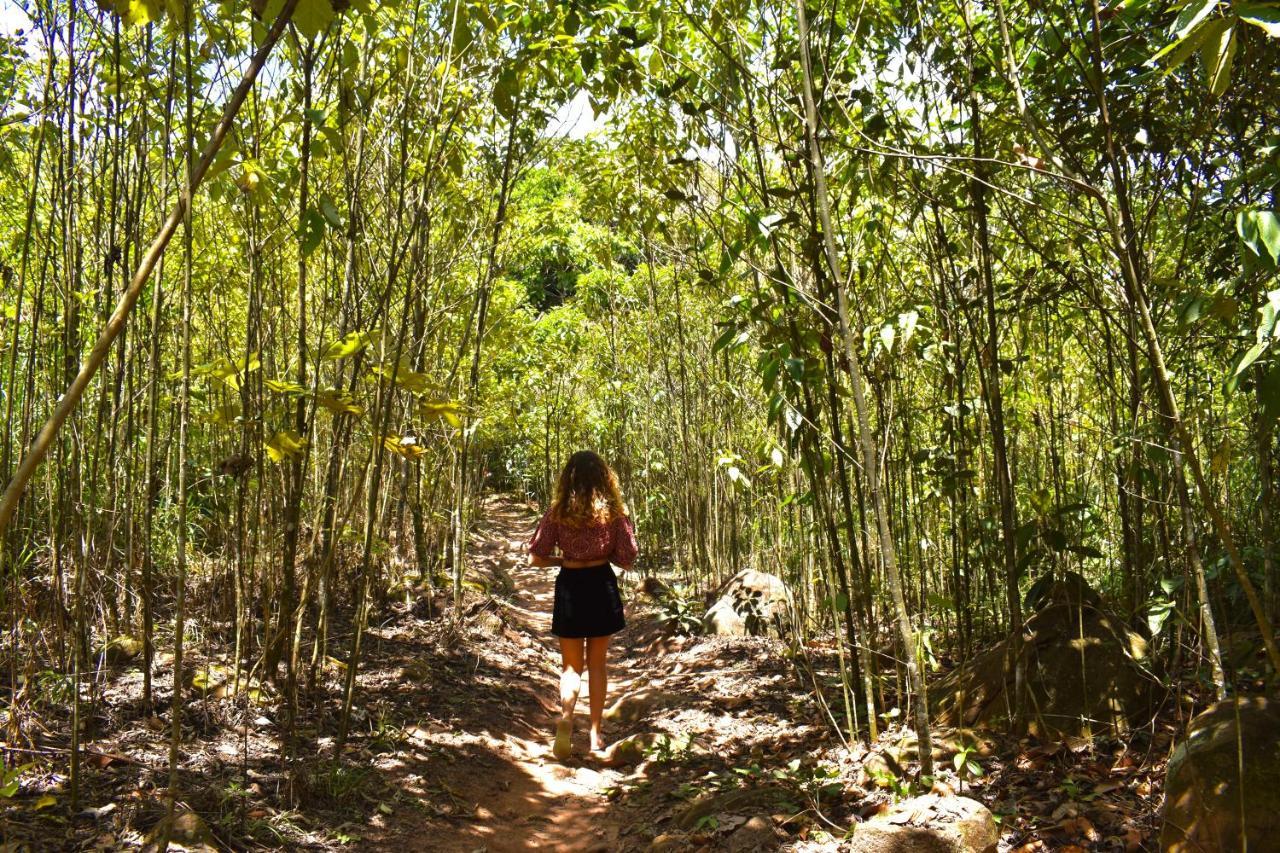 Bosque Guardian Lodge Tarapoto Exterior foto
