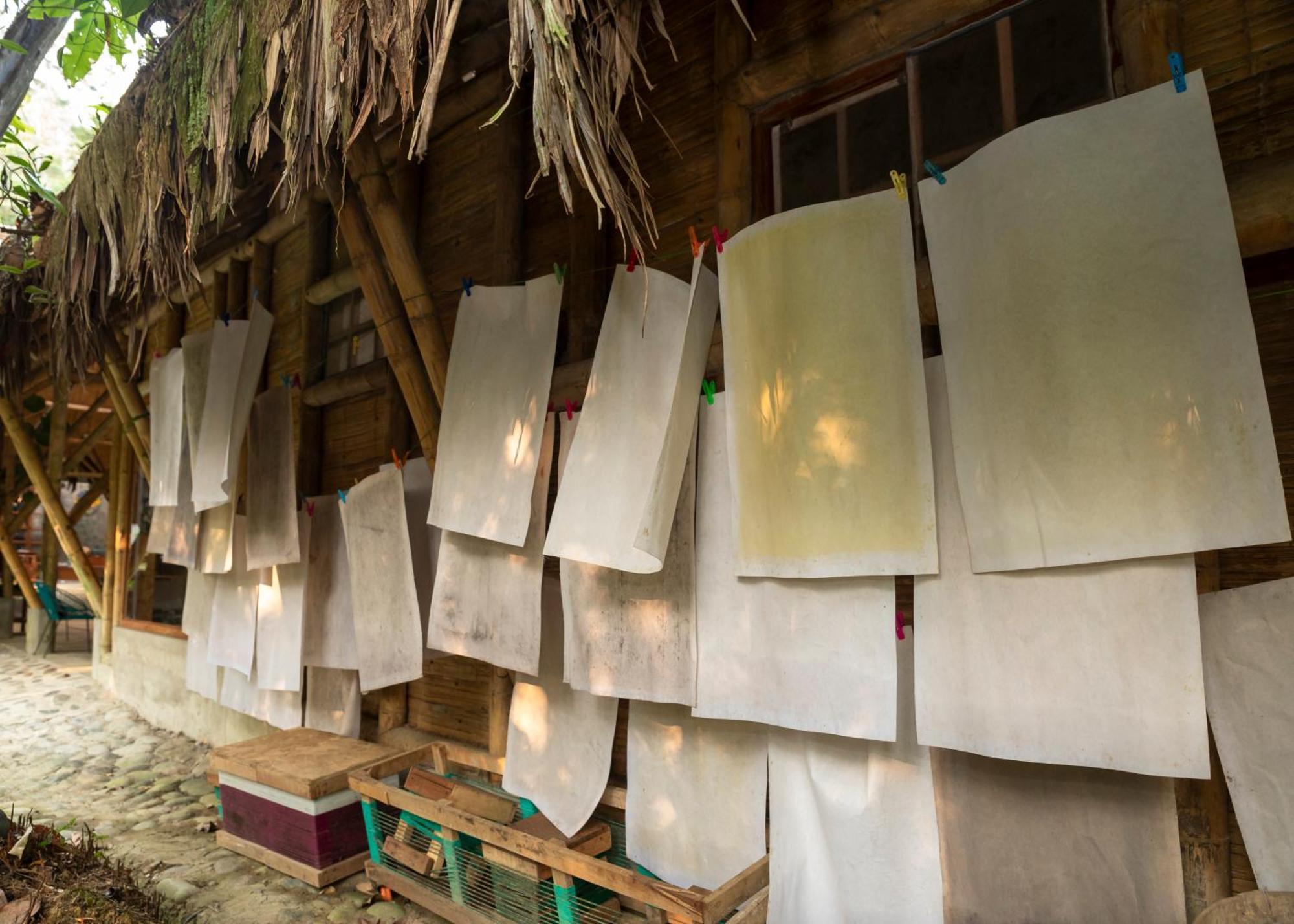 Bosque Guardian Lodge Tarapoto Exterior foto
