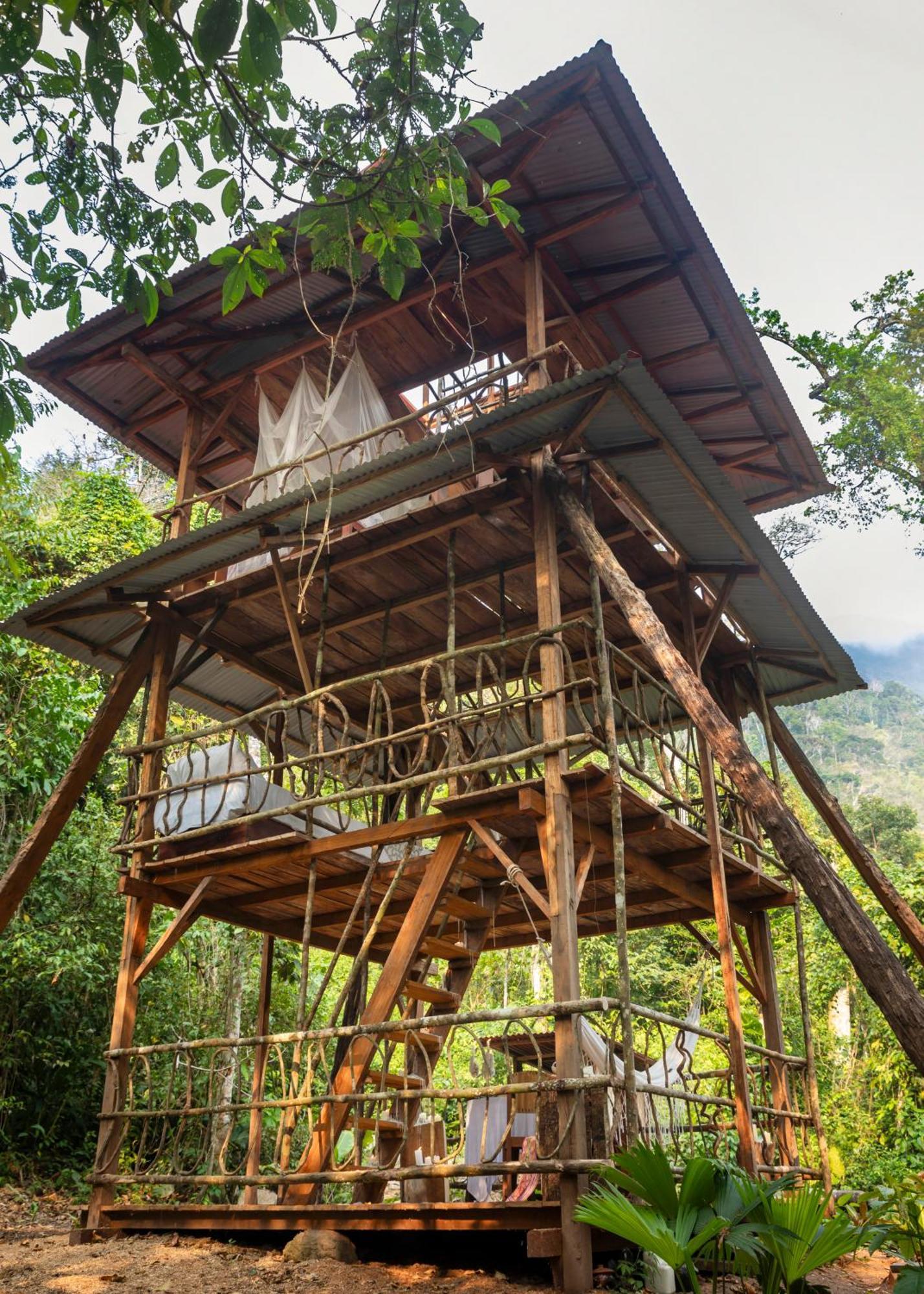 Bosque Guardian Lodge Tarapoto Exterior foto